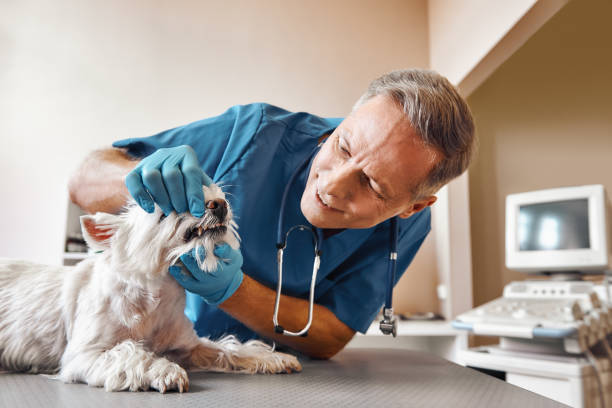 Best Emergency Tooth Extraction in Broadlands, VA